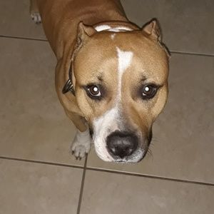 Meet your Posher, Alicia